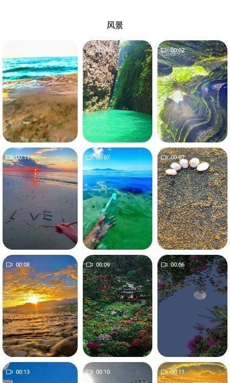 飞花动态壁纸截图3