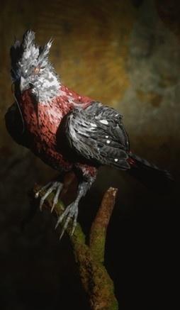 黑神话悟空根器眼看喜选择攻略