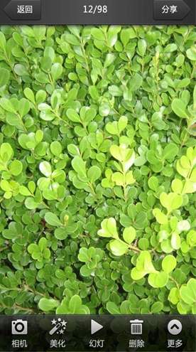 美图看看手机版截图3