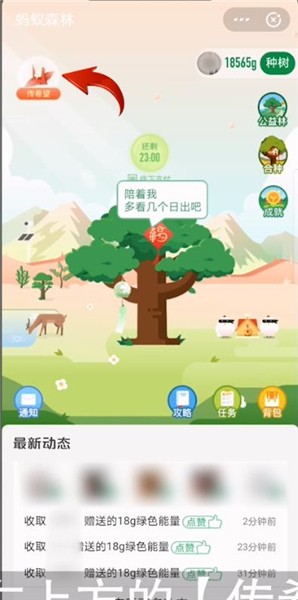 蚂蚁森林粉色树怎么来的