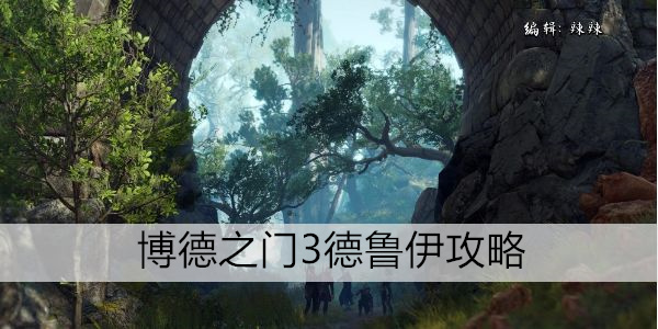 博德之门3德鲁伊攻略