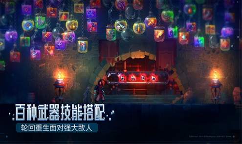 重生细胞3.3.6内置菜单截图3