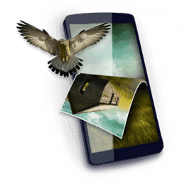 壁纸神器wallpaper