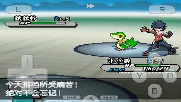 口袋妖怪七龙珠汉化版