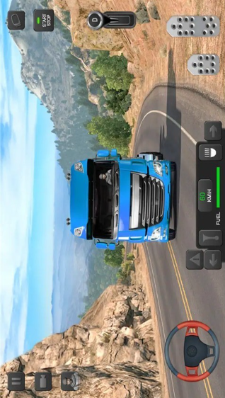 模拟驾驶大师截图3