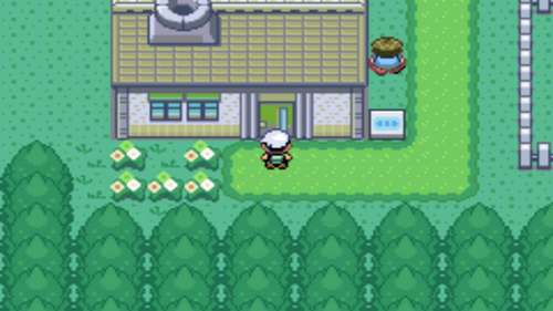 口袋妖怪究极绿宝石魔法棒版