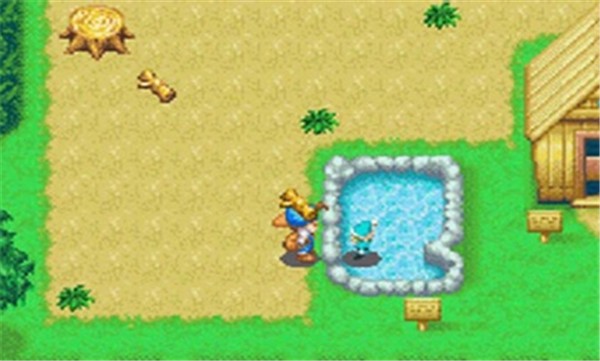 开罗赛马牧场物语