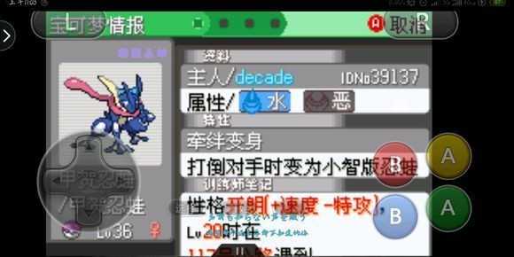 口袋妖怪究极绿宝石5截图3
