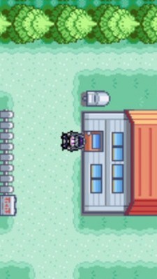 口袋妖怪究极绿宝石5随机版