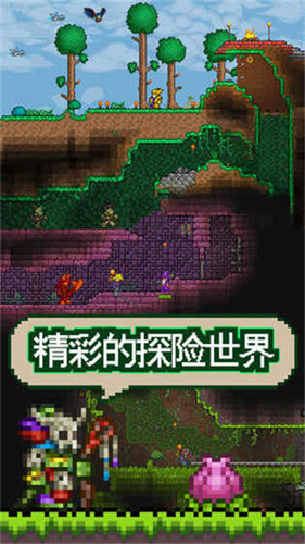 泰拉瑞亚存档版截图2