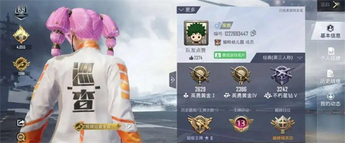 和平精英巡查员是干嘛的