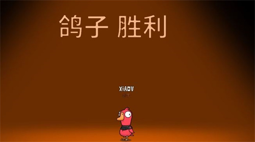 鹅鸭杀鸽子感染是什么意思 鸽子感染效果介绍