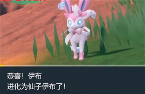 宝可梦朱紫伊布进化方法大全