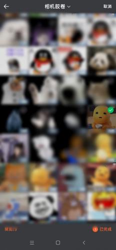 怎么给GIF动图增加文字