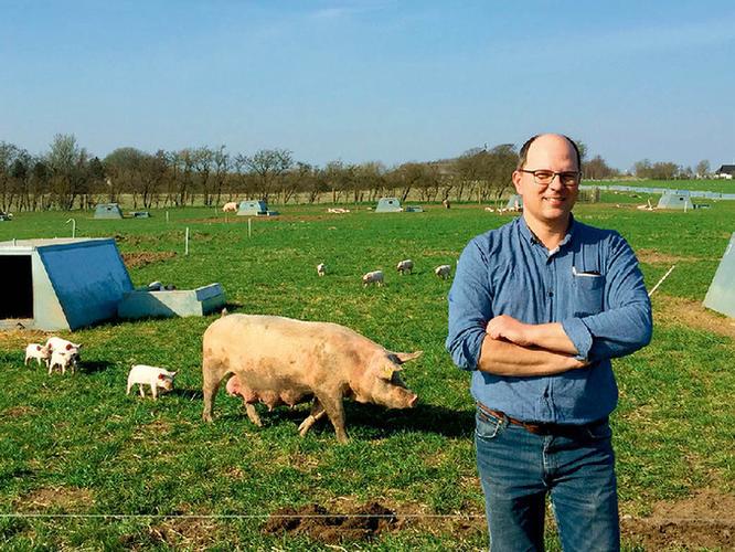 超级肉禽系统情节分析：紧凑的情节与丰富的想象力