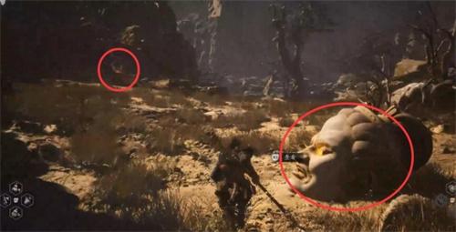 黑神话悟空佛目珠怎么获得