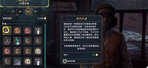 霍格沃茨之遗金币怎么获取 快速刷金币教程