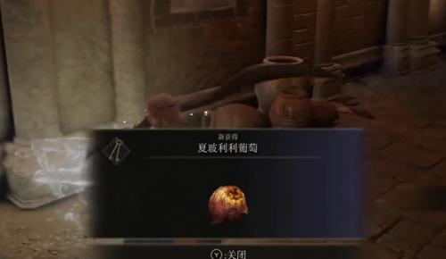 艾尔登法环盲女任务少了一个葡萄怎么办