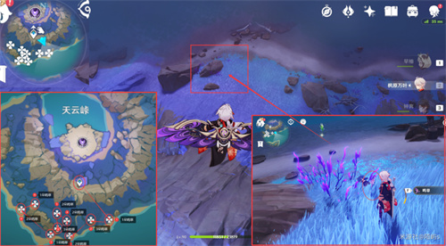 原神鸣草位置在哪 鸣草采集位置一览