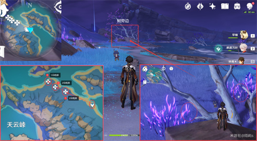 原神鸣草位置在哪 鸣草采集位置一览