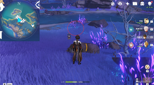 原神鸣草位置在哪 鸣草采集位置一览