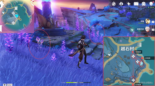 原神鸣草位置在哪 鸣草采集位置一览