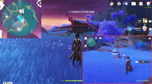 原神鸣草位置在哪 鸣草采集位置一览