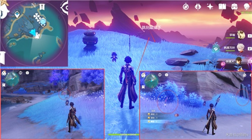 原神鸣草位置在哪 鸣草采集位置一览