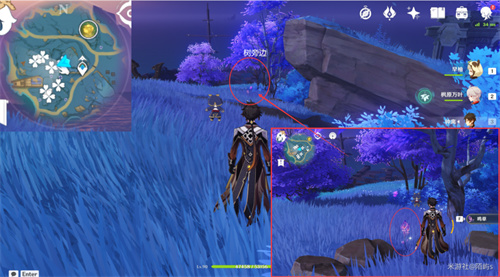 原神鸣草位置在哪 鸣草采集位置一览