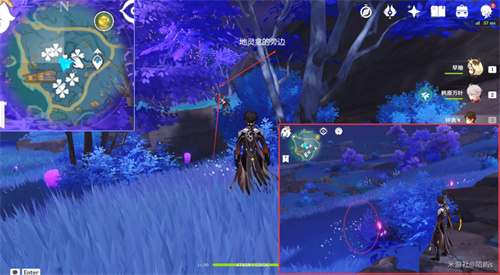 原神鸣草位置在哪 鸣草采集位置一览