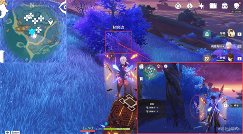 原神鸣草位置在哪 鸣草采集位置一览