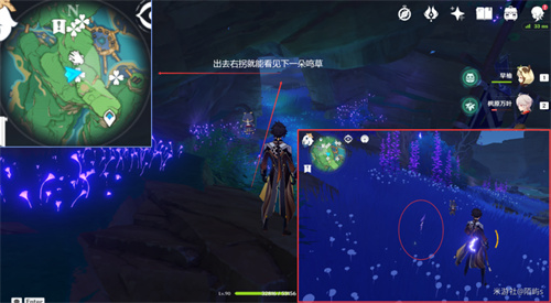 原神鸣草位置在哪 鸣草采集位置一览