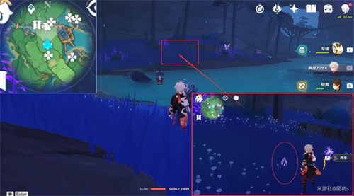 原神鸣草位置在哪 鸣草采集位置一览