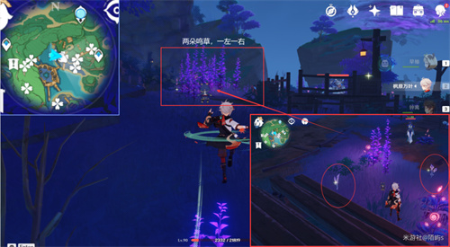 原神鸣草位置在哪 鸣草采集位置一览