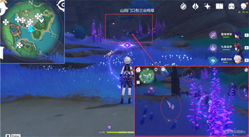 原神鸣草位置在哪 鸣草采集位置一览