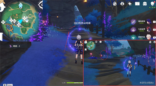 原神鸣草位置在哪 鸣草采集位置一览