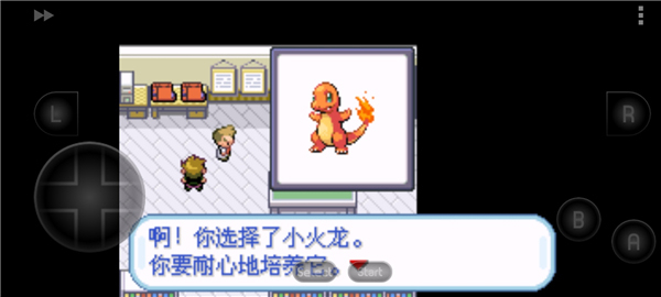 口袋妖怪无名汉化版截图1
