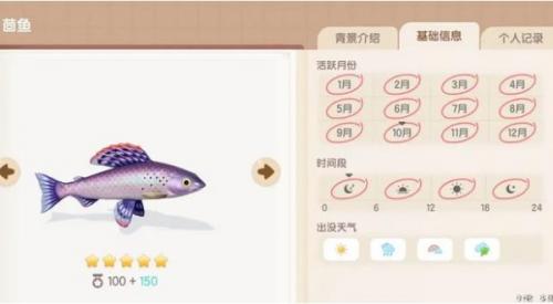 心动小镇茴鱼位置详情