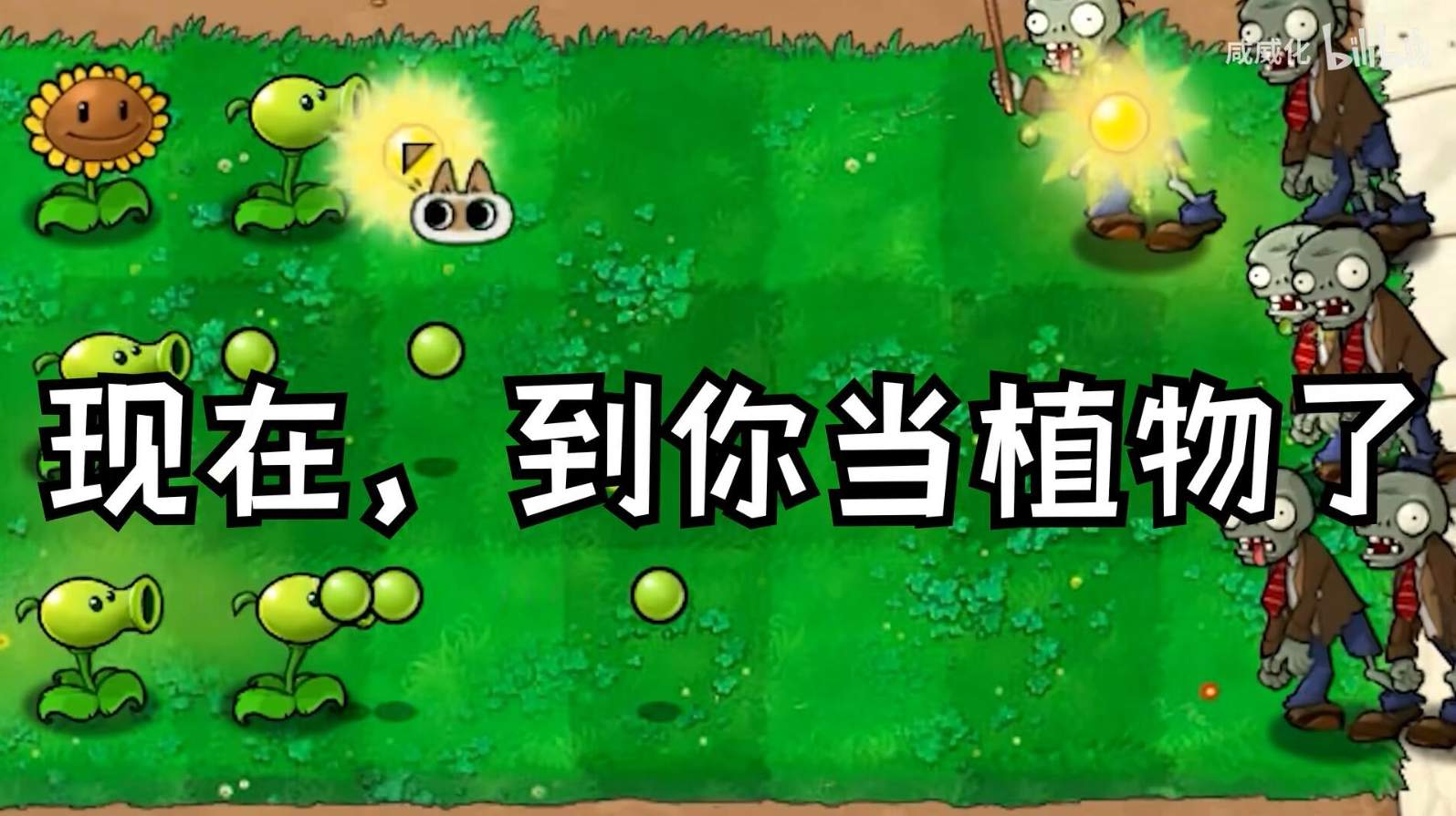 植物大战僵尸融合版2.1.5屋顶中截图1