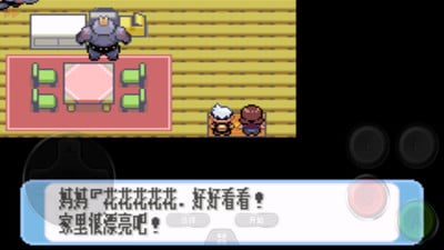 口袋妖怪黑白中文版v2021.06.26.12截图2