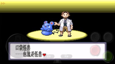 口袋妖怪黑白中文版v2021.06.26.12截图3