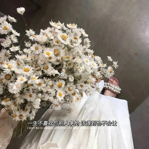 一生不喜欢与别人争抢 该得到也不会让图片