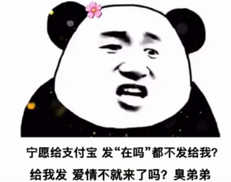 宁愿给支付宝发在吗表情包