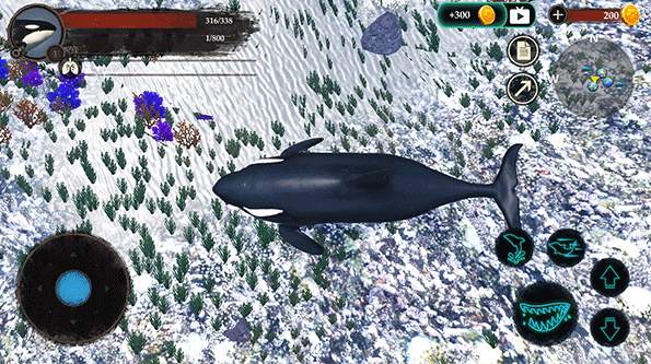 虎鲸模拟器截图3