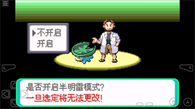 口袋妖怪绿宝石随机版截图3