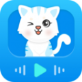 猫鱼字帖