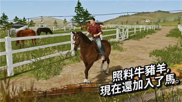 模拟农场20中国卡车整合版(FS 20)截图2