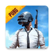 地铁逃生正式服(PUBG MOBILE)