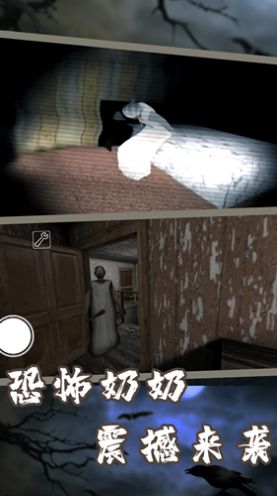 恐怖奶奶(中文版)截图1