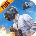 PUBG(测试服)